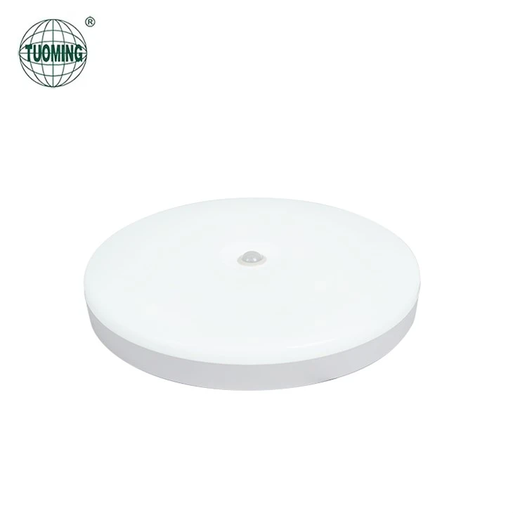Sensor Porch Ceiling Light best